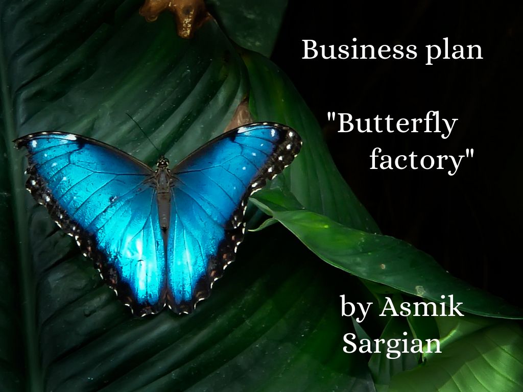 Business plan                            "Butterfly            factory"                                                                                                                  by Asmik Sargian