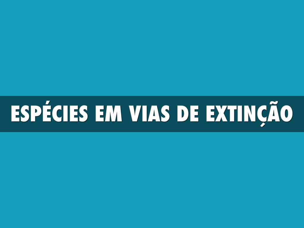 Animais Em Extinção