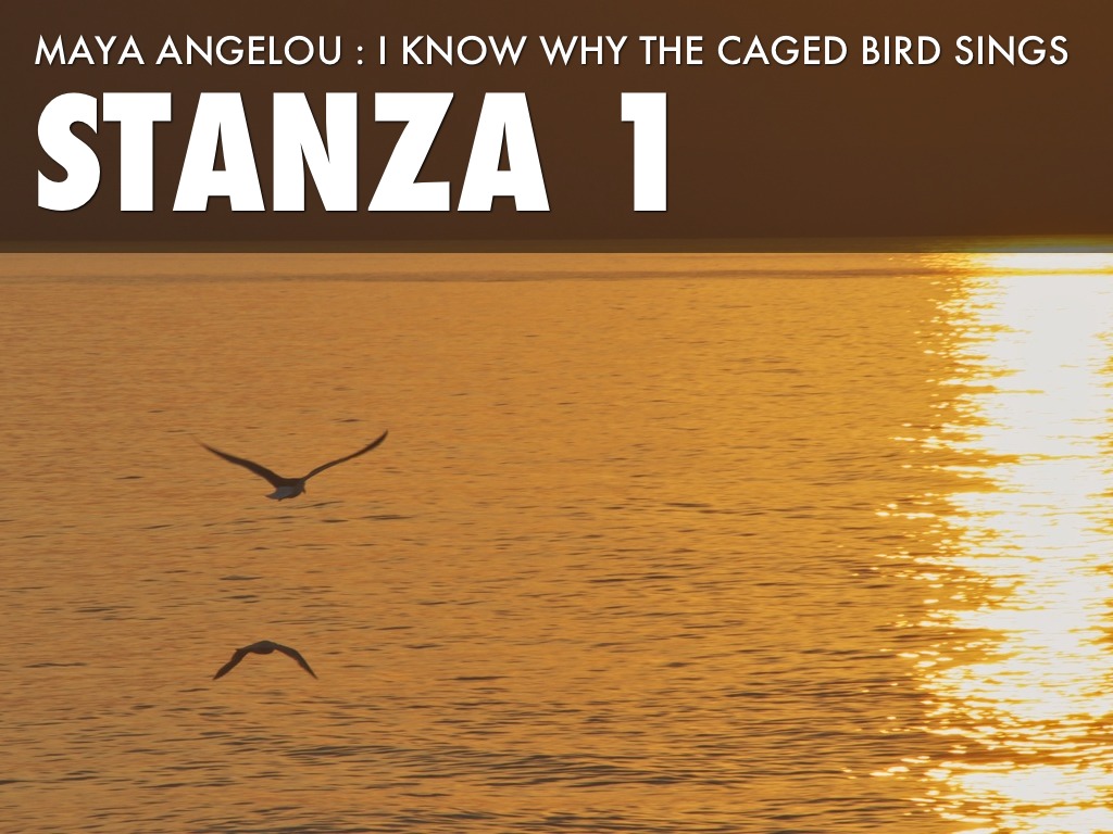 analysis know why caged bird sings analysis know why caged bird sings
