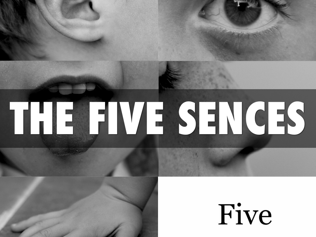 5 Senses-zytayvious Sheppard