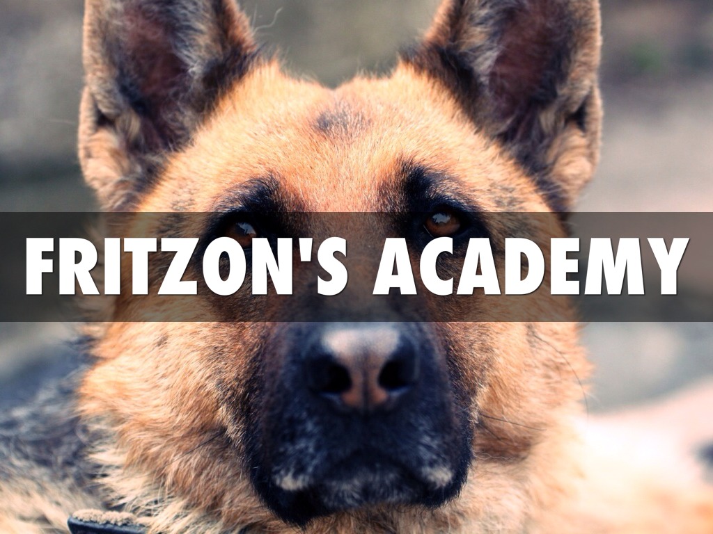 Fritzon's Academy
