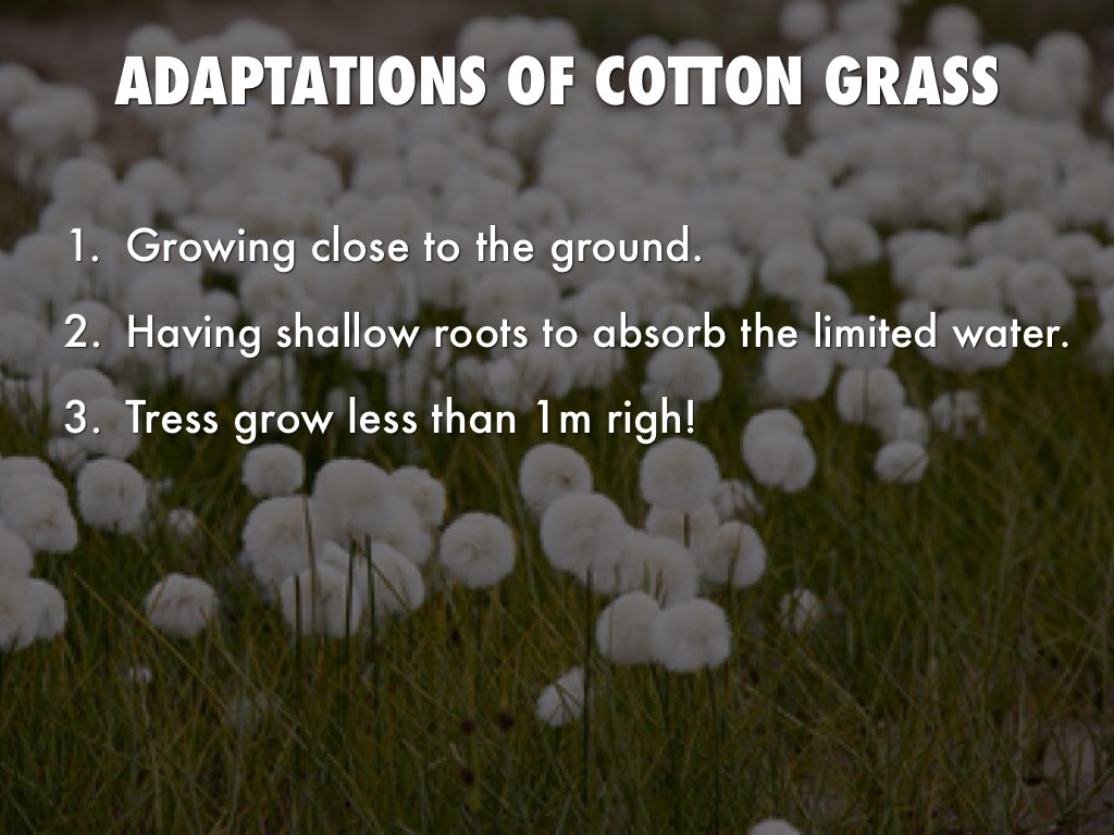 Itzel M. by Mr Seufert