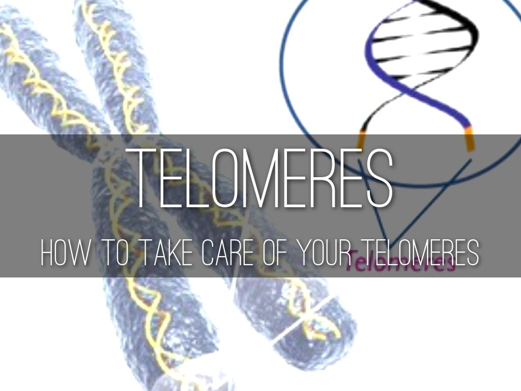 Telomeres