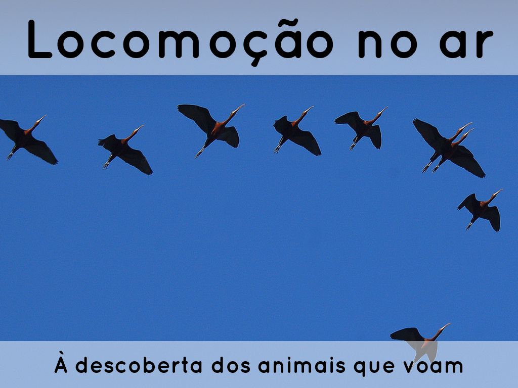 Locomoção no ar