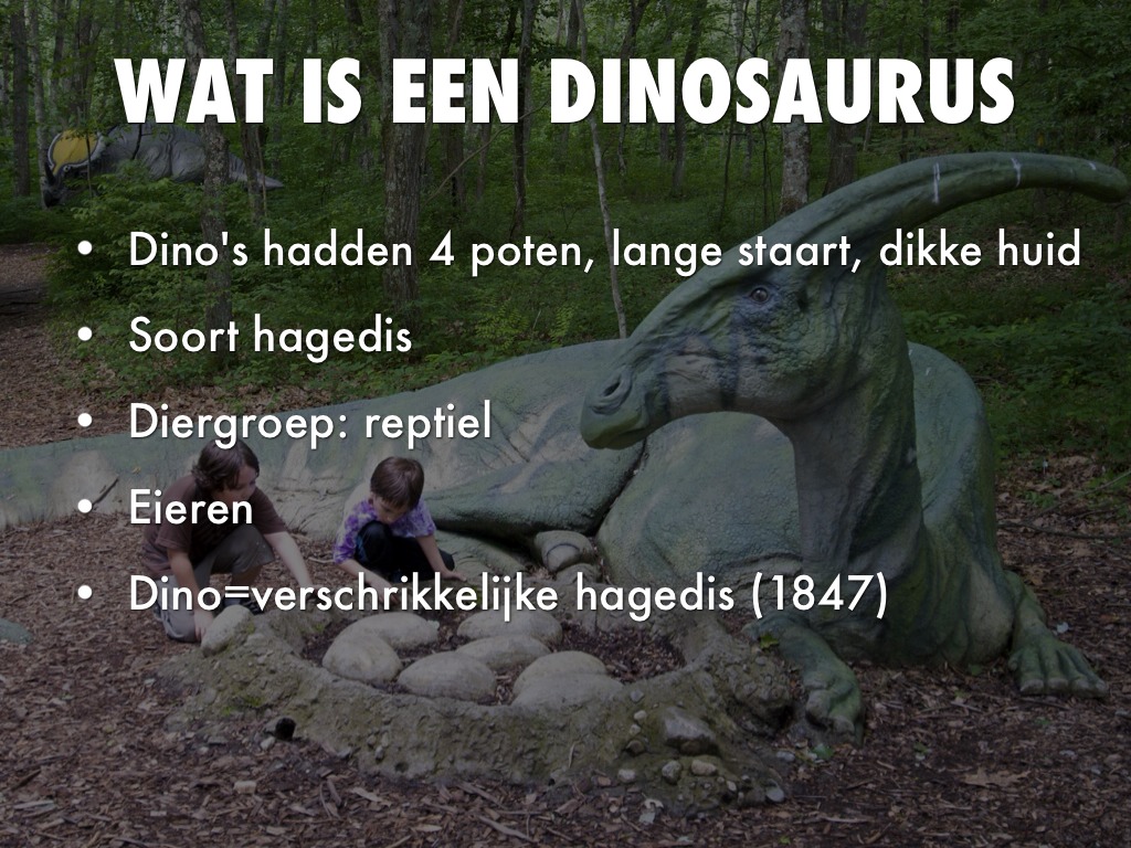 Dinosaurussen by Lin B Dinosaurussen by Lin B