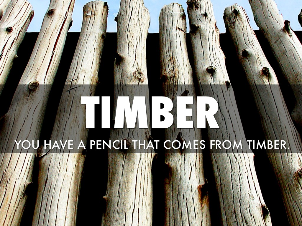 Vocabulary Words Lesson 4 by Quincy W