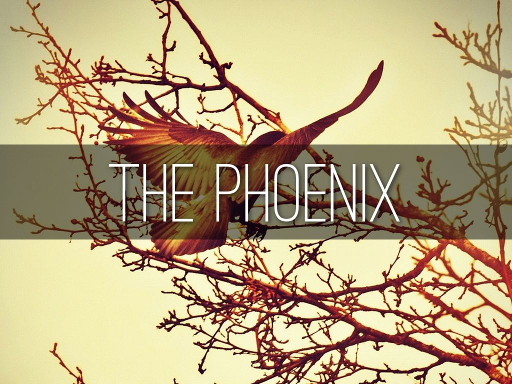 The Phoenix