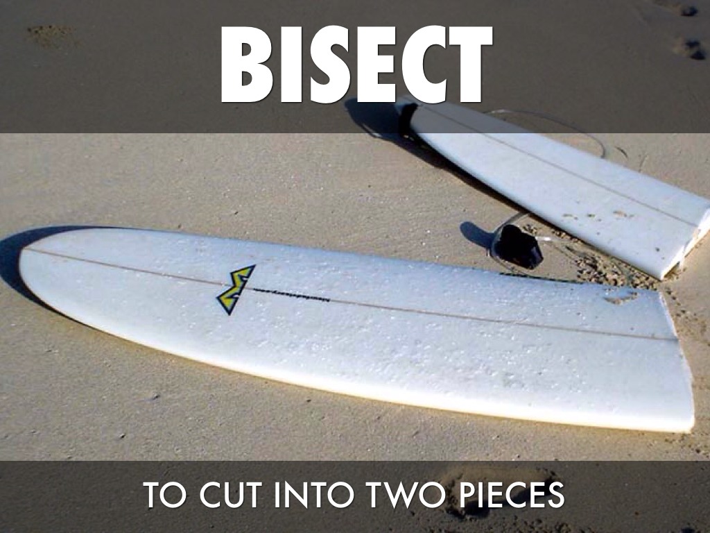 Sect= Cut, Seperate