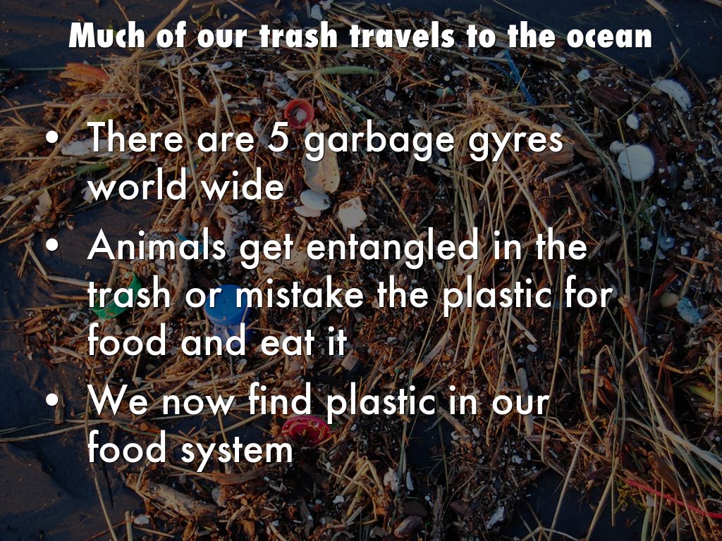 What's Wrong With Plastic? by Severena Johnston