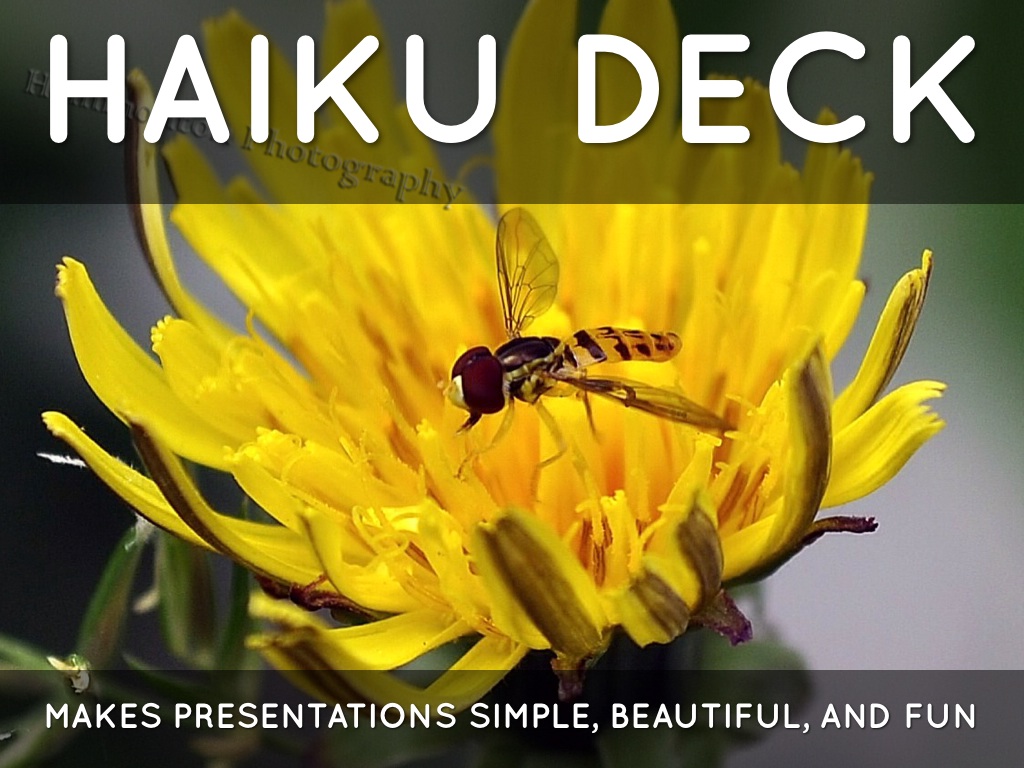 What Is Haiku Deck?