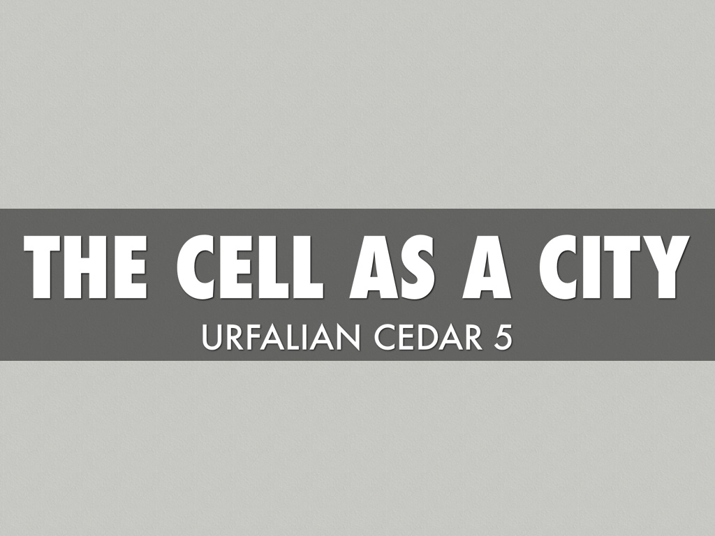 The Cell as a City