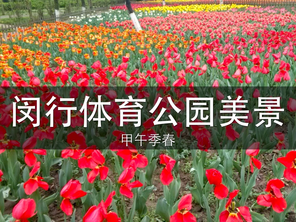 闵行体育公园美景