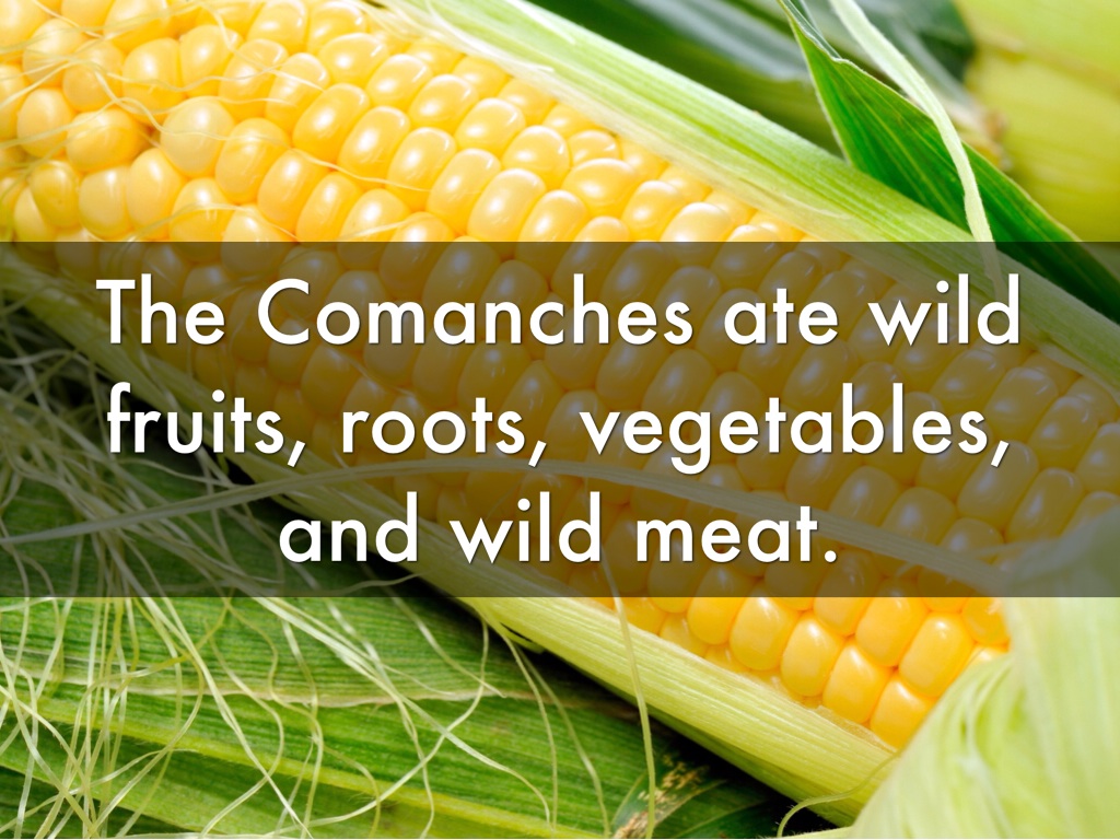 Comanche by Carter Lucas