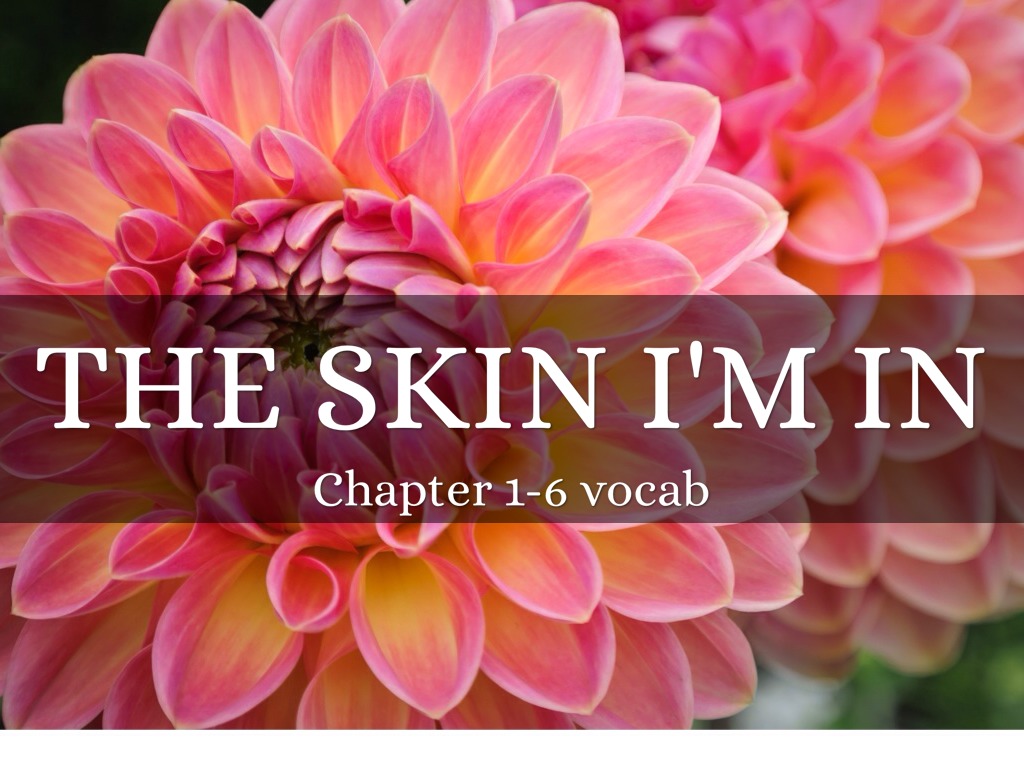 The Skin I'm In (chapter 1-6) Vocab