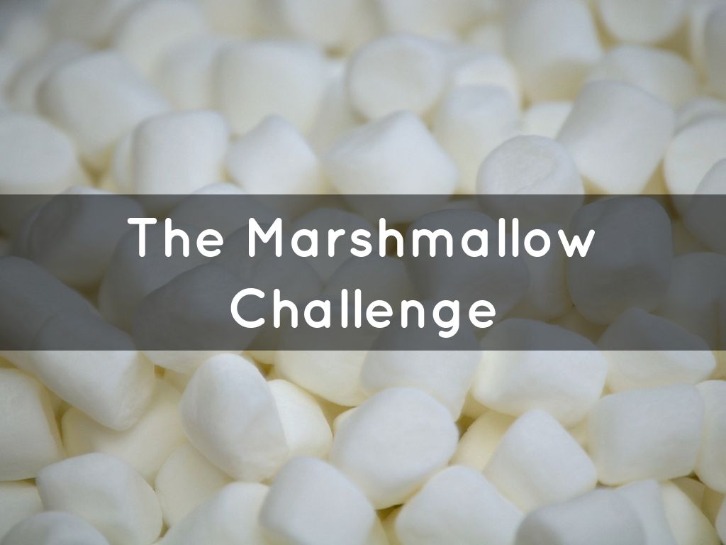 Marshmallow Challenge