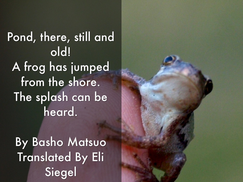 Frog Haiku