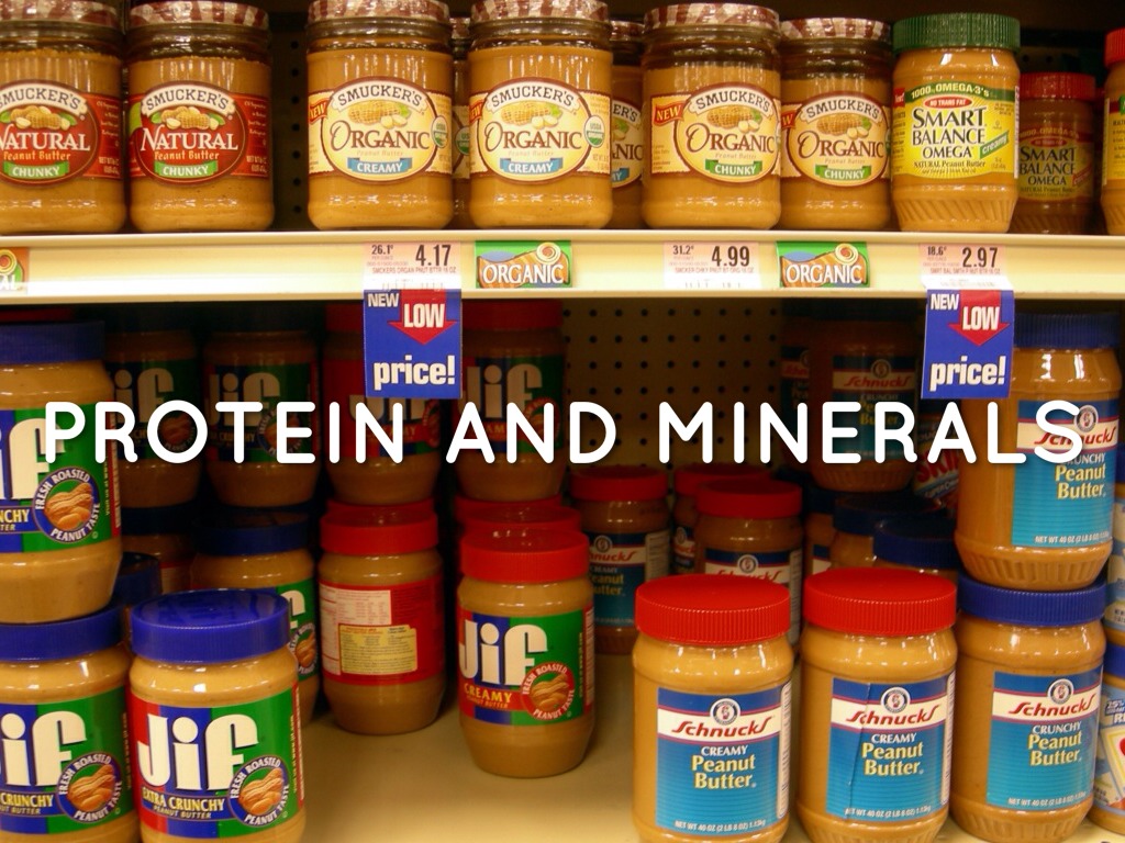 Proteins And Minerals