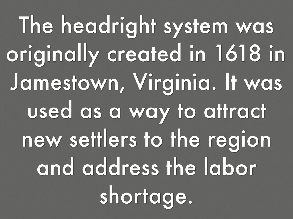 Social Studies by Trinity Holden