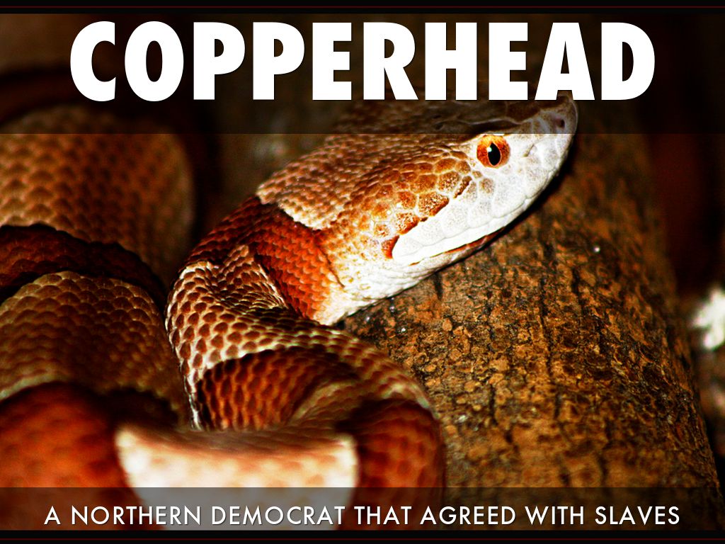 Civil War by ryan.jacobs