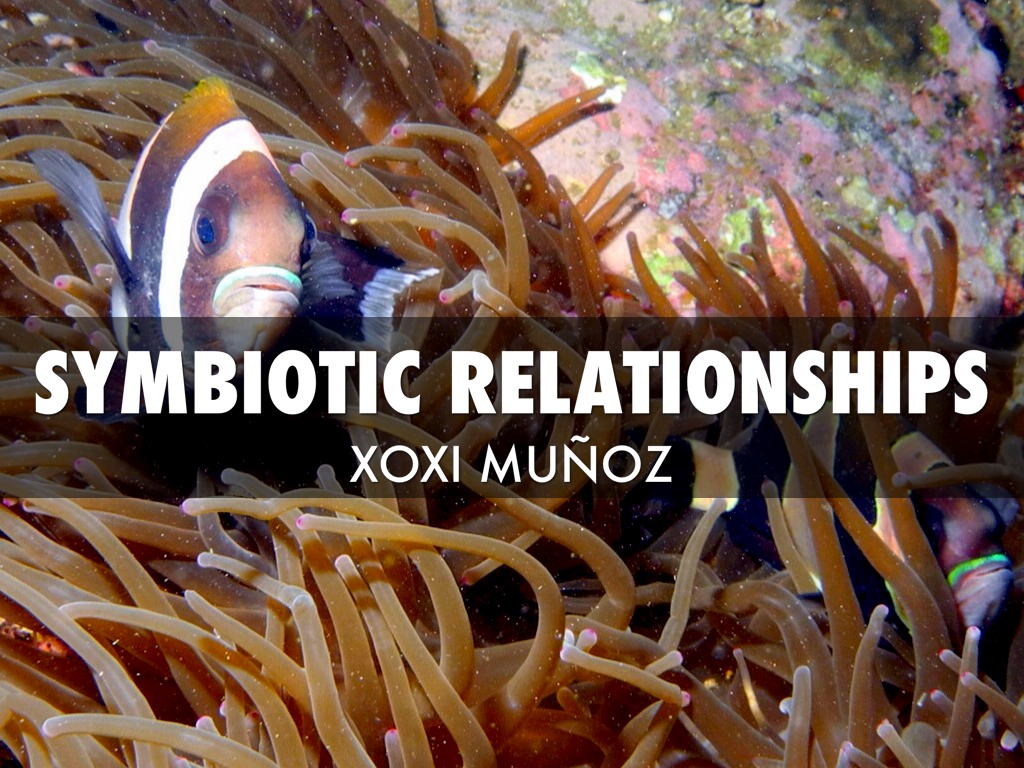 New Tools/ Old Information