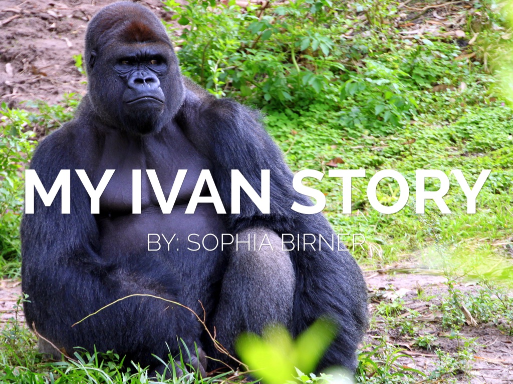 Ivan Story