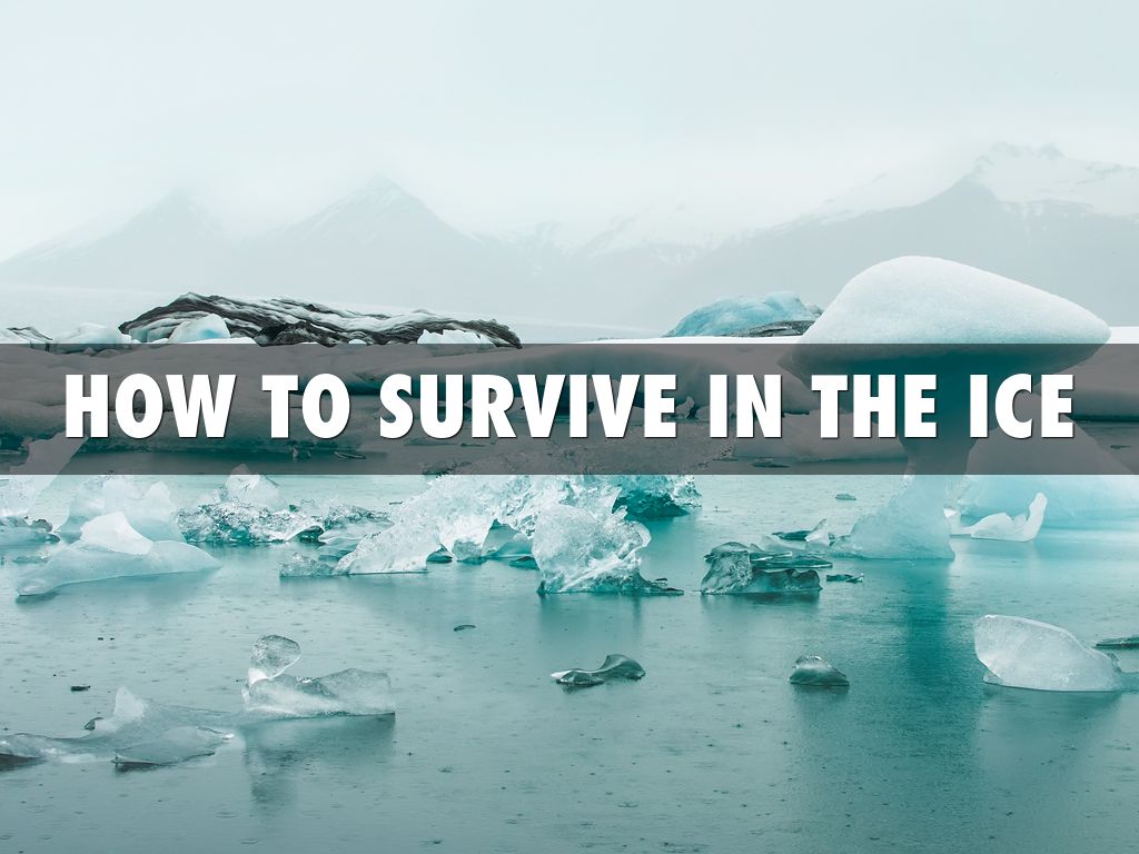 Survival In The Ice