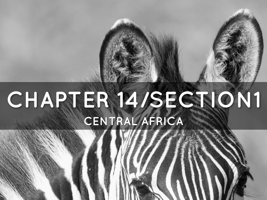 Chapter 14/Section 1