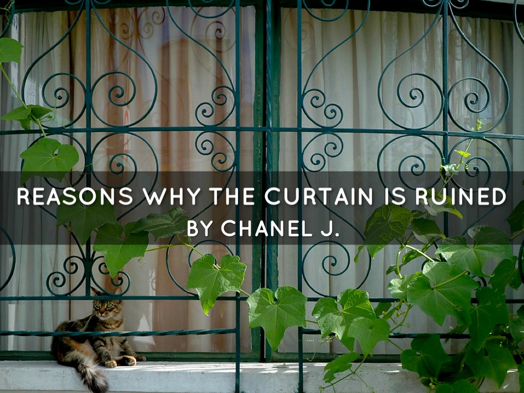 Reasons Why The Curtain Is Ruined- Chanel J.
