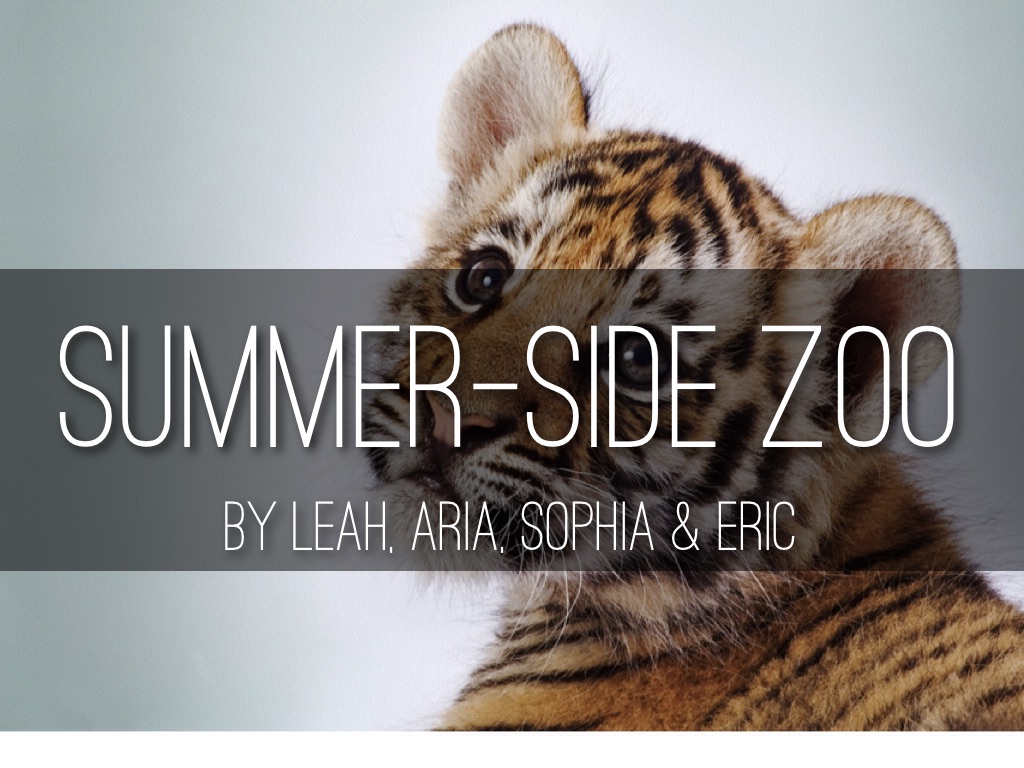 Summer-Side Zoo