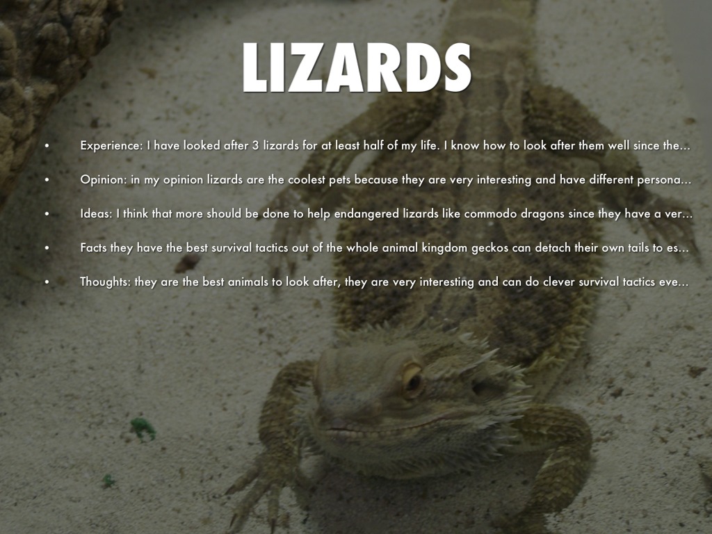 I gcse Speaking And Listening