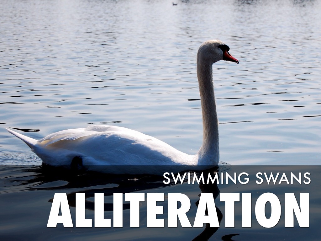 Poetic Terms by Amy Quigley