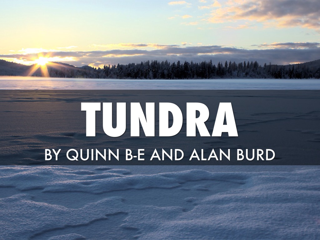 Tundra