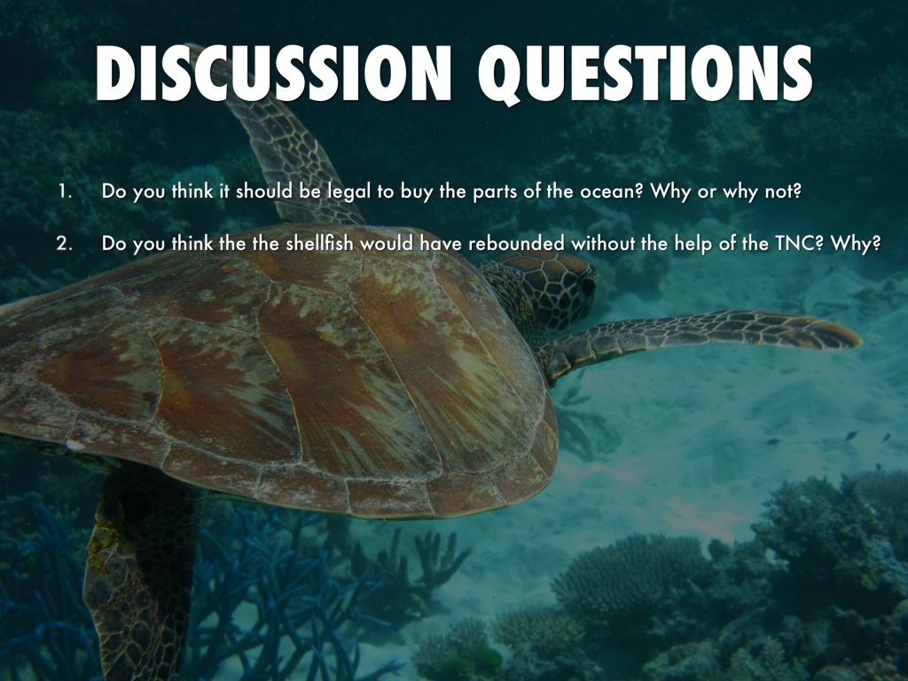 Ap environmental science case studies quizlet picture