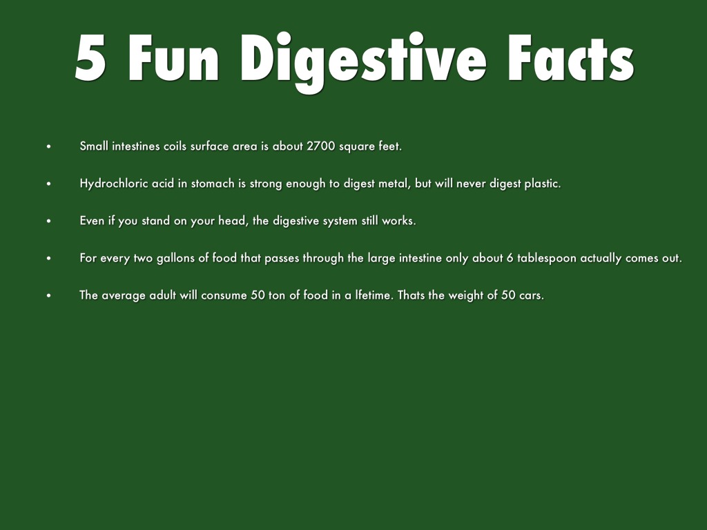 10-facts-about-the-digestive-system-gambaran