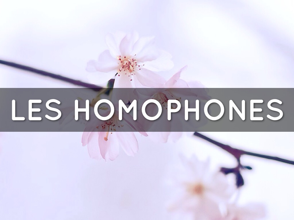 Les homophones 