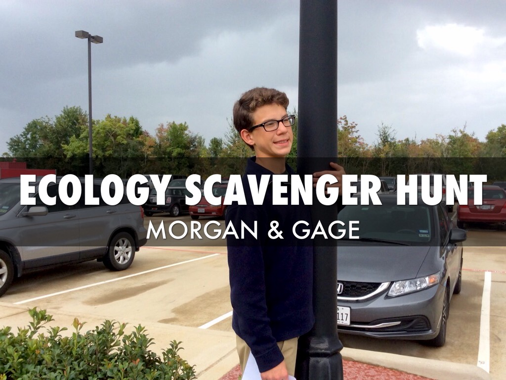 Ecology Scavenger Hunt
