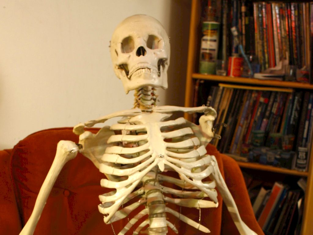 ¿Qué es Haiku Deck?