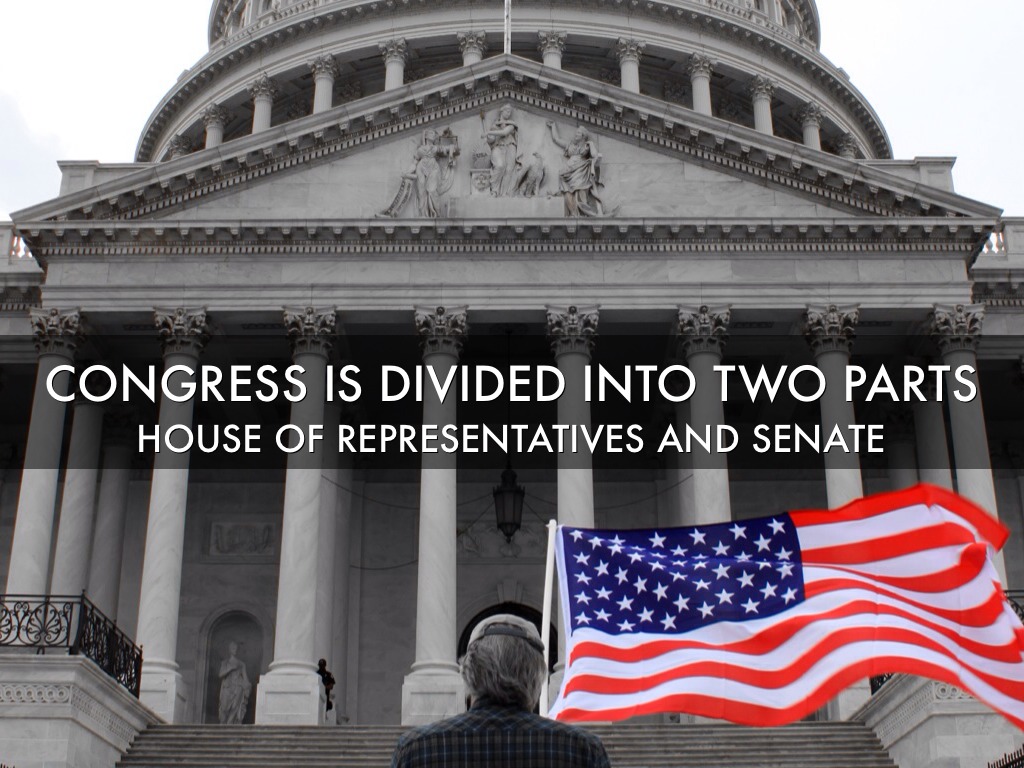 Three Branches Of Government By Gavin Flyinghawk by