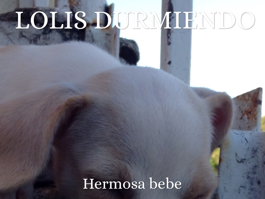 Haiku Deck en acción