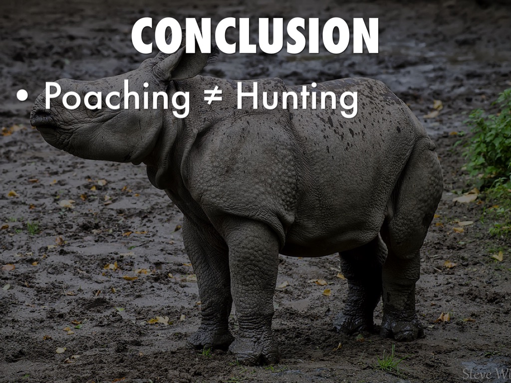 History IA, Rhino Poaching by Mack Christianson