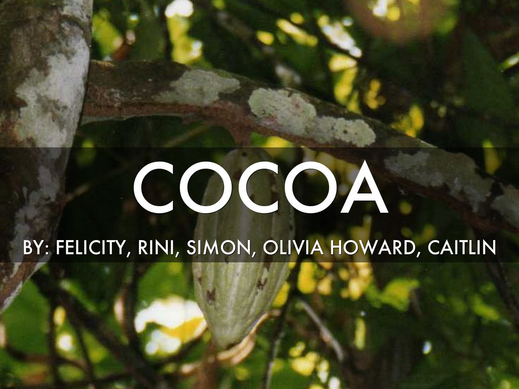 Cocoa