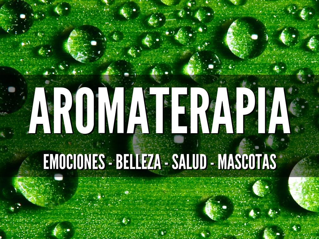 Haiku Deck In Action