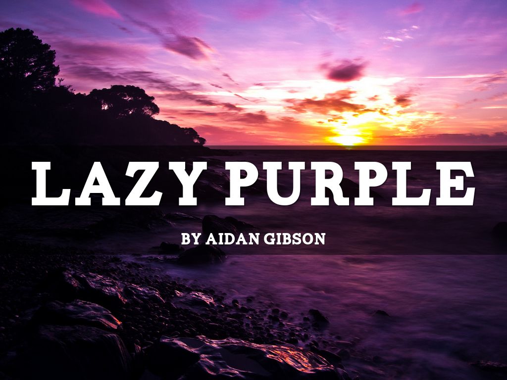 Lazy Purple