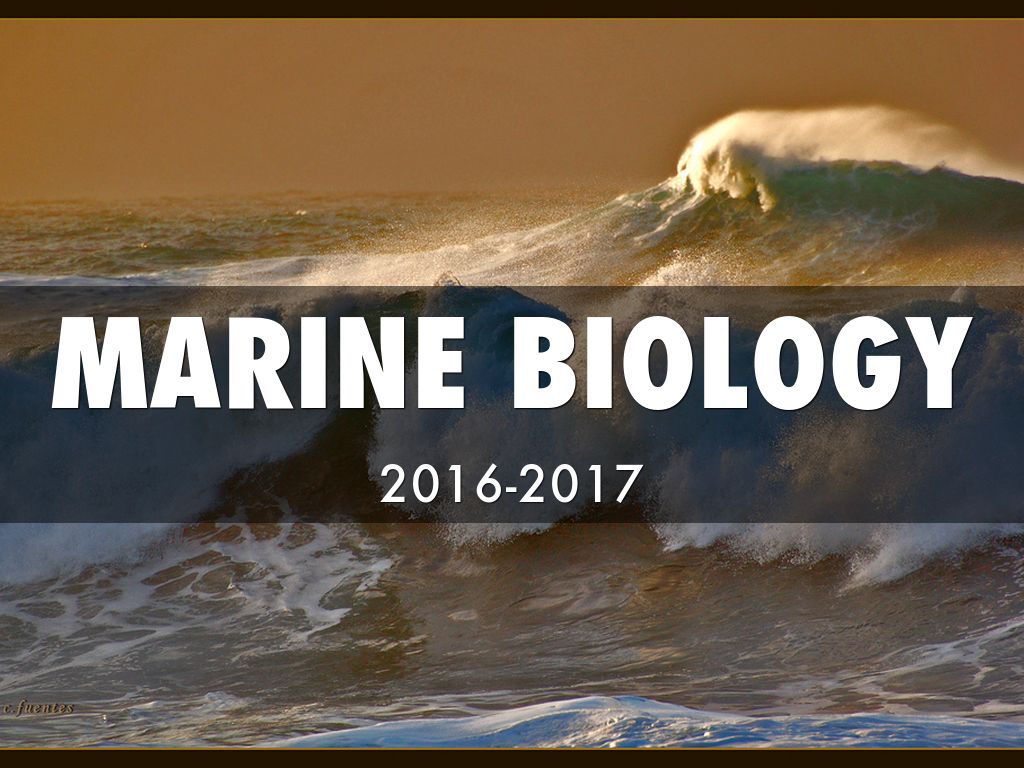 Marine Biology
