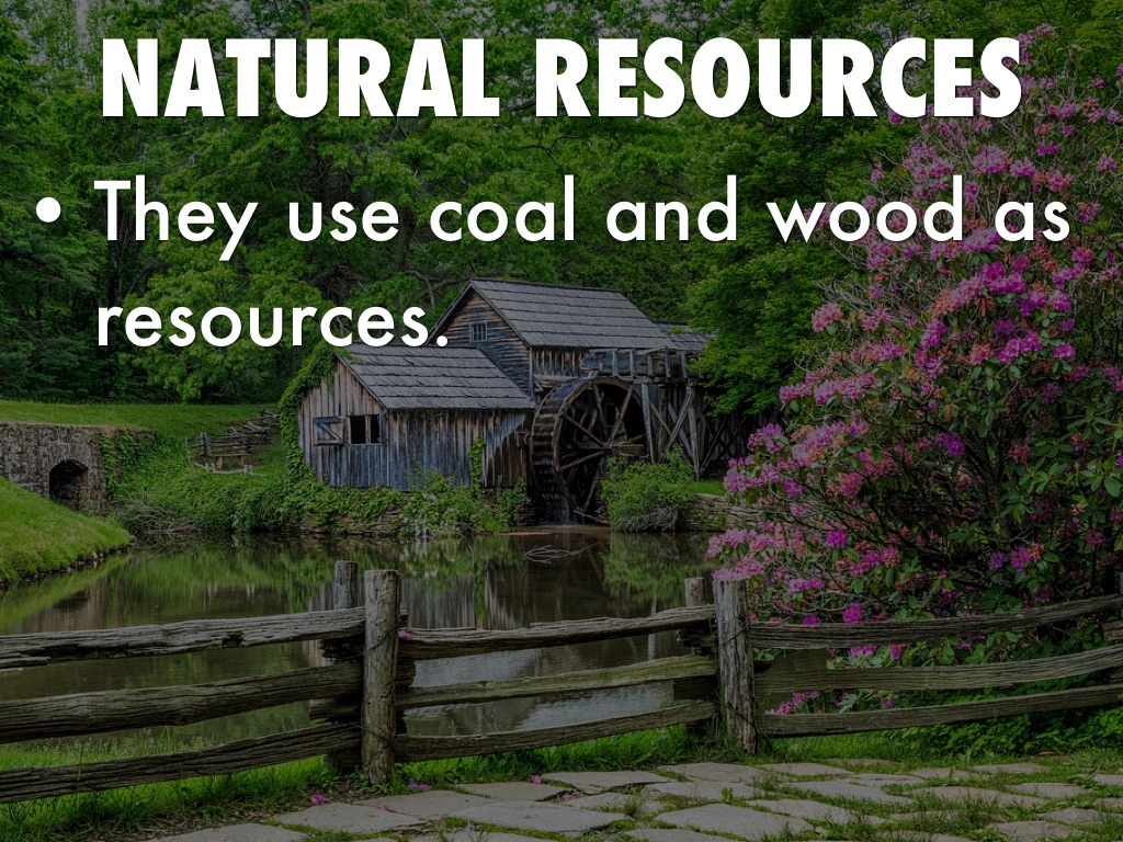 Virginia by Lauren Petersilia