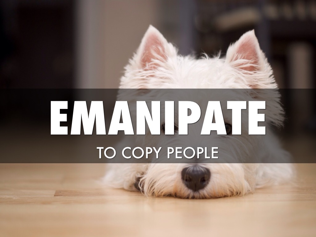 Man/manu Latin Roots