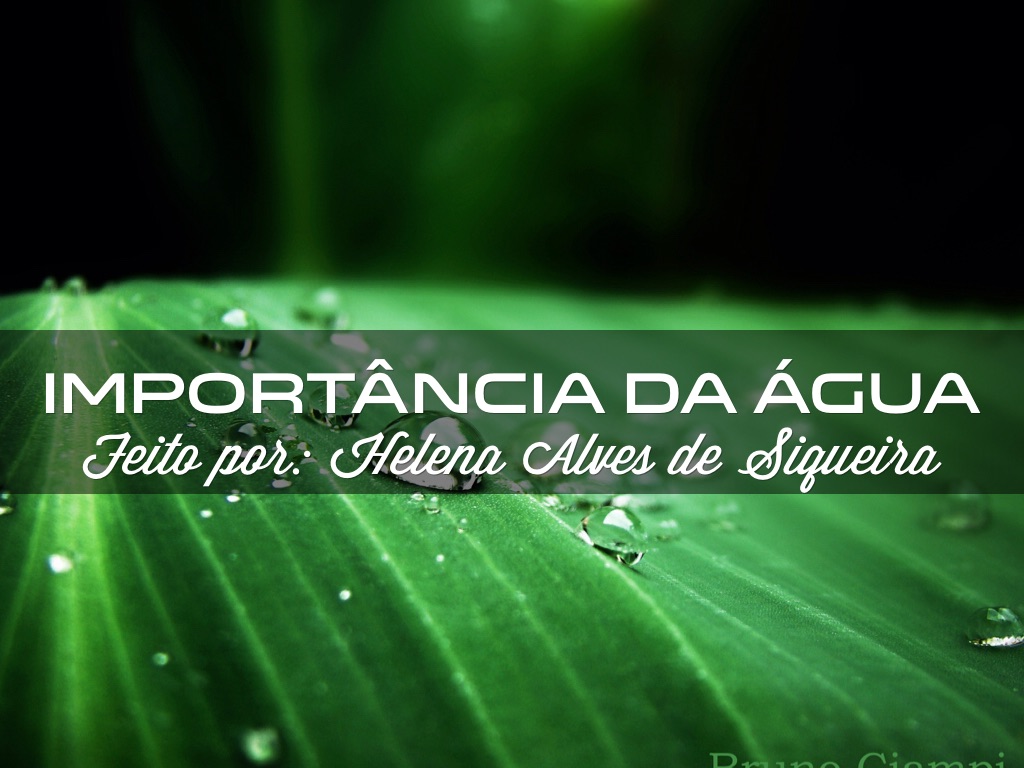 Importância da Água 
