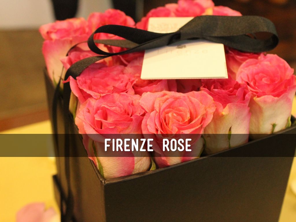 Copia de Personal Profile Template