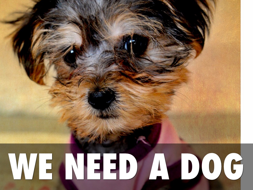 I Want A Dog.