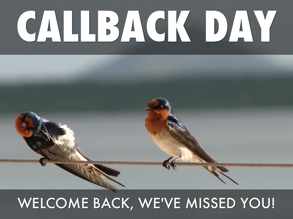 Callback Day